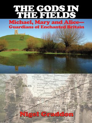 cover image of The Gods in the Fields